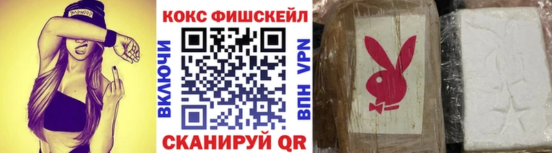 где купить наркоту  Вязьма  Кокаин Fish Scale 